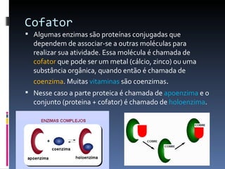 Cofator
 Algumas enzimas são proteínas conjugadas que
  dependem de associar-se a outras moléculas para
  realizar sua at...