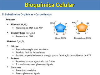 Bioquímica celular ensino médio C, O, H, N.ppt