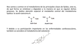 Nos vamos a centrar en el metabolismo de las principales clases de lípidos, esto es,
de qué forma se sintetizan y degradan y la manera en que se regulan dichos
procesos. Se dedica atención especial al metabolito central del metabolismo
lipídico: la acetil-coenzima A.
Y debido a su participación importante en las enfermedades cardiovasculares,
también se considera el metabolismo del colesterol.
 
