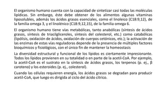 El organismo humano cuenta con la capacidad de sintetizar casi todas las moléculas
lipídicas. Sin embargo, éste debe obtener de los alimentos algunas vitaminas
liposolubles, además los ácidos grasos esenciales, como el linoleico (C18:9,12), de
la familia omega 3, y el linolénico (C18:9,12,15), de la familia omega 6.
El organismo humano tiene vías metabólicas, tanto anabólicas (síntesis de ácidos
grasos, síntesis de triacilgliceroles, síntesis del colesterol, etc.) como catabólicas
(lipólisis, oxidación de ácidos, oxidación de cuerpos cetónicos, etc.); la activación de
las enzimas de estas vías reguladoras depende de la presencia de múltiples factores
bioquímicos y fisiológicos, con el único fin de mantener la homeostasis
La diversidad estructural y funcional de los lípidos es ciertamente impresionante.
Todos los lípidos provienen en su totalidad o en parte de la acetil-CoA. Por ejemplo,
la acetil-CoA es el sustrato en la síntesis de ácidos grasos, los terpenos (p. ej., β
caroteno) y los esteroides (p. ej., colesterol).
Cuando las células requieren energía, los ácidos grasos se degradan para producir
acetil-CoA, que luego es dirigida al ciclo del ácido cítrico.
 