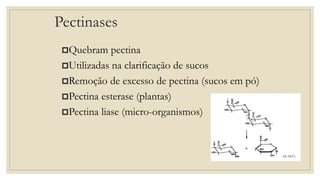 Pectinases
Quebram pectina
Utilizadas na clarificação de sucos
Remoção de excesso de pectina (sucos em pó)
Pectina esterase (plantas)
Pectina liase (micro-organismos)
 