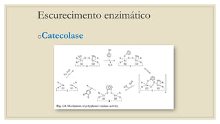 Escurecimento enzimático
oCatecolase
 