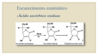 Escurecimento enzimático
oÁcido ascórbico oxidase
 