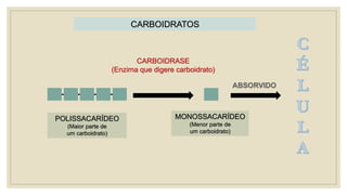 CARBOIDRATOS
POLISSACARÍDEO
(Maior parte de
um carboidrato)
CARBOIDRASE
(Enzima que digere carboidrato)
MONOSSACARÍDEO
(Menor parte de
um carboidrato)
 