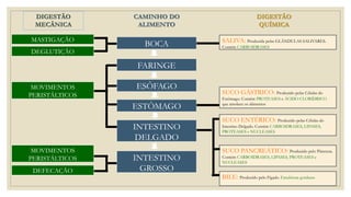 DIGESTÃO
MECÂNICA
CAMINHO DO
ALIMENTO
DIGESTÃO
QUÍMICA
BOCA
FARINGE
ESÔFAGO
INTESTINO
DELGADO
ESTÔMAGO
INTESTINO
GROSSO
MASTIGAÇÃO
DEGLUTIÇÃO
MOVIMENTOS
PERISTÁLTICOS
DEFECAÇÃO
MOVIMENTOS
PERISTÁLTICOS
SALIVA: Produzida pelas GLÂNDULAS SALIVARES.
Contém CARBOIDRASES
SUCO GÁSTRICO: Produzido pelas Células do
Estômago. Contém PROTEASES e ÁCIDO CLORÍDRICO
que amolece os alimentos
SUCO ENTÉRICO: Produzido pelas Células do
Intestino Delgado. Contém CARBOIDRASES, LIPASES,
PROTEASES e NUCLEASES
SUCO PANCREÁTICO: Produzido pelo Pâncreas.
Contém CARBOIDRASES, LIPASES, PROTEASES e
NUCLEASES
BILE: Produzido pelo Fígado. Emulsiona gorduras
 