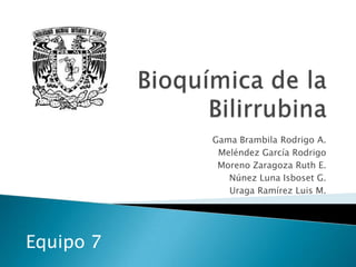 Bioquímica de la Bilirrubina Gama Brambila Rodrigo A. Meléndez García Rodrigo Moreno Zaragoza Ruth E. Núnez Luna Isboset G. Uraga Ramírez Luis M. Equipo 7 