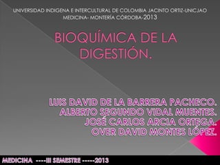 UNIVERSIDAD INDIGENA E INTERCULTURAL DE COLOMBIA JACINTO ORTIZ-UNICJAO
MEDICINA- MONTERÍA CÓRDOBA-2013
 