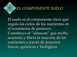 EL COMPONENTE SUELO
El suelo es el componente clave que
regula los ciclos de los nutrientes en
el ecosistema de pastoreo.
Constituye el “almacen” que recibe,
acumula y libera la mayoría de los
nutrientes a través de procesos
físicos, químicos y biológicos.

 