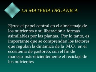 LA MATERIA ORGANICA
Ejerce el papel central en el almacenaje de
los nutrientes y su liberación a formas
asimilables por las plantas. Por lo tanto, es
importante que se comprendan los factores
que regulan la dinámica de la M.O. en el
ecositema de pastoreo, con el fin de
manejar más eficientemente el reciclaje de
los nutrientes

 