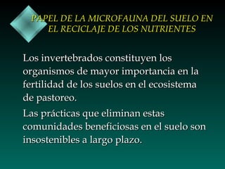 PAPEL DE LA MICROFAUNA DEL SUELO EN
EL RECICLAJE DE LOS NUTRIENTES

Los invertebrados constituyen los
organismos de mayor importancia en la
fertilidad de los suelos en el ecosistema
de pastoreo.
Las prácticas que eliminan estas
comunidades beneficiosas en el suelo son
insostenibles a largo plazo.

 