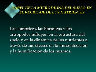 PAPEL DE LA MICROFAUNA DEL SUELO EN
EL RECICLAJE DE LOS NUTRIENTES

Las lombrices, las hormigas y los
artropodos influyen en la estructura del
suelo y en la dinámica de los nutrientes a
través de sus efectos en la inmovilización
y la humificación de los mismos.

 