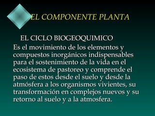 EL COMPONENTE PLANTA
EL CICLO BIOGEOQUIMICO
Es el movimiento de los elementos y
compuestos inorgánicos indispensables
para el sostenimiento de la vida en el
ecosistema de pastoreo y comprende el
paso de estos desde el suelo y desde la
atmósfera a los organismos vivientes, su
transformación en complejos nuevos y su
retorno al suelo y a la atmosfera.

 