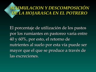 ACUMULACION Y DESCOMPOSICIÓN
DE LA HOJARASCA EN EL POTRERO
El porcentaje de utilización de los pastos
por los rumiantes en pastoreo varia entre
40 y 60%, por esto, el retorno de
nutrientes al suelo por esta vía puede ser
mayor que el que se produce a través de
las excreciones.

 