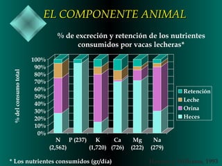 EL COMPONENTE ANIMAL

% del consumo total

% de excreción y retención de los nutrientes
consumidos por vacas lecheras*
100%
90%
80%
70%
60%
50%
40%
30%
20%
10%
0%

Retención
Leche
Orina
Heces

N P (237)
K
Ca
(2,562)
(1,720) (726)

* Los nutrientes consumidos (gr/día)

Mg
(222)

Na
(279)

Haynes y Williams, 1993

 