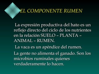 EL COMPONENTE RUMEN
La expresión productiva del hato es un
reflejo directo del ciclo de los nutrientes
en la relación SUELO – PLANTA –
ANIMAL – RUMEN.
La vaca es un apéndice del rumen.
La gente no alimenta el ganado. Son los
microbios ruminales quienes
verdaderamente lo hacen.

 