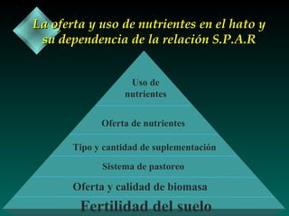 La oferta y uso de nutrientes en el hato y
su dependencia de la relación S.P.A.R
Uso de
nutrientes
Oferta de nutrientes
Tipo y cantidad de suplementación
Sistema de pastoreo

Oferta y calidad de biomasa

Fertilidad del suelo

 