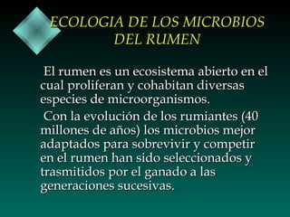 ECOLOGIA DE LOS MICROBIOS
DEL RUMEN
El rumen es un ecosistema abierto en el
cual proliferan y cohabitan diversas
especies de microorganismos.
Con la evolución de los rumiantes (40
millones de años) los microbios mejor
adaptados para sobrevivir y competir
en el rumen han sido seleccionados y
trasmitidos por el ganado a las
generaciones sucesivas.

 