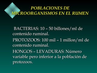POBLACIONES DE
MICROORGANISMOS EN EL RUMEN
BACTERIAS: 10 – 50 billones/ml de
contenido ruminal.
PROTOZOOS: 100 mil – 1 millon/ml de
contenido ruminal.
HONGOS – LEVADURAS: Número
variable pero inferior a la población de
protozoos.

 