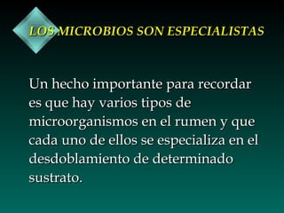 LOS MICROBIOS SON ESPECIALISTAS

Un hecho importante para recordar
es que hay varios tipos de
microorganismos en el rumen y que
cada uno de ellos se especializa en el
desdoblamiento de determinado
sustrato.

 