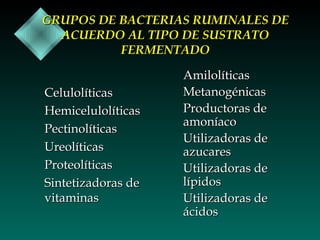 GRUPOS DE BACTERIAS RUMINALES DE
ACUERDO AL TIPO DE SUSTRATO
FERMENTADO
Celulolíticas
Hemicelulolíticas
Pectinolíticas
Ureolíticas
Proteolíticas
Sintetizadoras de
vitaminas

Amilolíticas
Metanogénicas
Productoras de
amoníaco
Utilizadoras de
azucares
Utilizadoras de
lípidos
Utilizadoras de
ácidos

 