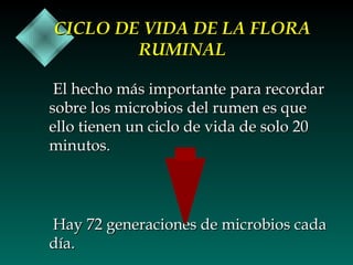 CICLO DE VIDA DE LA FLORA
RUMINAL
El hecho más importante para recordar
sobre los microbios del rumen es que
ello tienen un ciclo de vida de solo 20
minutos.

Hay 72 generaciones de microbios cada
día.

 
