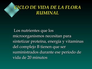 CICLO DE VIDA DE LA FLORA
RUMINAL

Los nutrientes que los
microorganismos necesitan para
sintetizar proteína, energía y vitaminas
del complejo B tienen que ser
suministrados durante ese período de
vida de 20 minutos

 