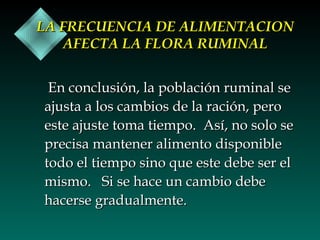 LA FRECUENCIA DE ALIMENTACION
AFECTA LA FLORA RUMINAL
En conclusión, la población ruminal se
ajusta a los cambios de la ración, pero
este ajuste toma tiempo. Así, no solo se
precisa mantener alimento disponible
todo el tiempo sino que este debe ser el
mismo. Si se hace un cambio debe
hacerse gradualmente.

 