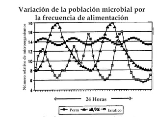 Número relativo de microorganismos

Variación de la población microbial por
la frecuencia de alimentación

24 Horas
Perm

Erratico

 
