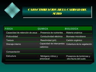 CARACTE IZACION DELACALIDADDEL
ACTER
RIZACION DEL CAL
A
IDAD DE
L
CAR
SUEO
UEL
S LO

FISICA

QUIMICA

BIOLOGICA

• Capacidad de retención de agua • Presencia de nutrientes

• Materia orgánica

• Profundidad

• Conductividad eléctrica

• Biomasa microbiana

• Textura

• Reactividad (pH)

• Carbón orgánico

• Drenaje interno

• Capacidad de intercambio • Cobertura de la vegetación
catiónico

• Compactación
• Estructura

• Nitrógeno nítrico y
amoniacal

• Presencia de lombrices y
• otra fauna del suelo

 