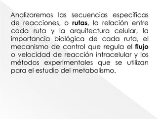 Analizaremos las secuencias específicas de reacciones, o rutas, la relación entre cada ruta y la arquitectura celular, la importancia biológica de cada ruta, el mecanismo de control que regula el flujo o velocidad de reacción intracelular y los métodos experimentales que se utilizan para el estudio del metabolismo. 