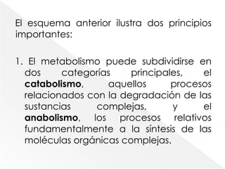 El esquema anterior ilustra dos principios importantes:1. El metabolismo puede subdividirse en dos categorías principales, el catabolismo, aquellos procesos relacionados con la degradación de las sustancias complejas, y el anabolismo, los procesos relativos fundamentalmente a la síntesis de las moléculas orgánicas complejas. 