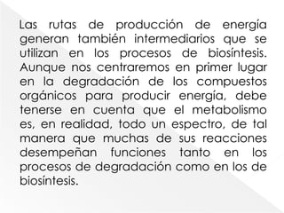 El nivel 2, la interconversión de los azúcares monoméricos, los aminoácidos y los lípidos con los compuestos orgánicos aún más sencillos.