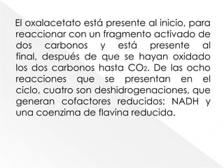 El ciclo del ácido cítrico se centra en los destinos metabólicos de los dos carbonos que entran en el ciclo. Estos carbonos, el grupo acetilo de la acetil-coenzima A, se transfieren a un ácido orgánico de cuatro carbonos, el oxalacetato, para dar un ácido tricarboxílico de seis carbonos, el citrato. El citrato entra en una serie de siete reacciones durante las cuales se liberan dos carbonos en forma de CO2 y los cuatro carbonos restantes se regeneran en forma de oxalacetato, que puede iniciar de nuevo el proceso. De ahí la naturaleza cíclica de la ruta. 