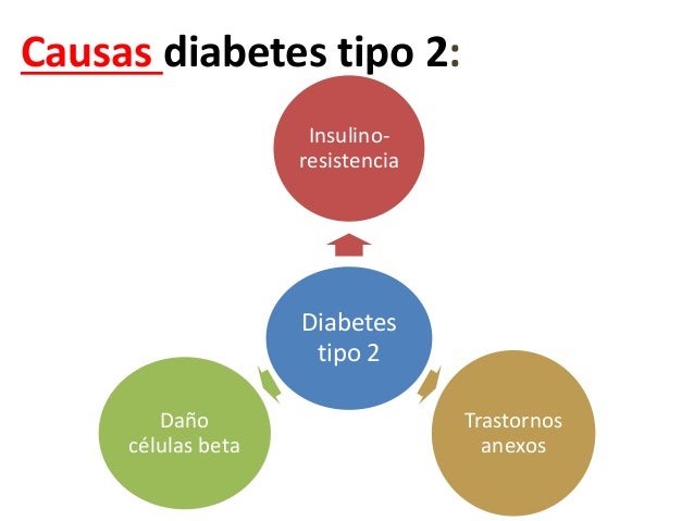 Bioquímica del desarrollo de la diabetes mellitus tipo 2 Bioquímica del desarrollo de la diabetes mellitus tipo 2
