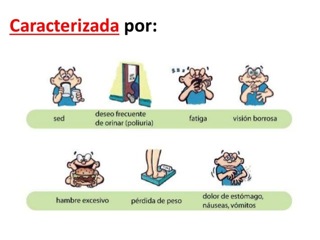 Bioquímica del desarrollo de la diabetes mellitus tipo 2 Bioquímica del desarrollo de la diabetes mellitus tipo 2