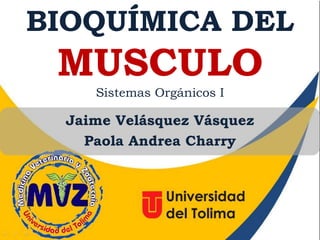 BIOQUÍMICA DEL

MUSCULO
Sistemas Orgánicos I

Jaime Velásquez Vásquez
Paola Andrea Charry

 
