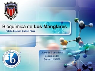 Bioquímica de Los Manglares Fabián Esteban Guillén Pérez Liceo de Costa Rica Sección: XI-I Fecha:11/08/09  
