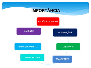 IMPORTÂNCIA
REGIÕES TROPICAIS
INSTALAÇÕES
DISTÂNCIA
TRANSPORTE
TEMPERATURA
ARMAZENAMENTO
UMIDADE
 