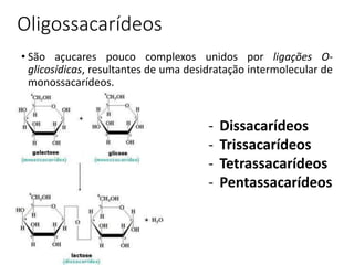 Oligossacarídeos
• São açucares pouco complexos unidos por ligações O-
glicosídicas, resultantes de uma desidratação intermolecular de
monossacarídeos.
- Dissacarídeos
- Trissacarídeos
- Tetrassacarídeos
- Pentassacarídeos
 