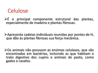 Celulose
É o principal componente estrutural das plantas,
especialmente de madeira e plantas fibrosas.
Apresenta cadeias individuais reunidas por pontes de H,
que dão às plantas fibrosas sua força mecânica.
Os animais não possuem as enzimas celulases, que são
encontradas em bactérias, incluindo as que habitam o
trato digestivo dos cupins e animais de pasto, como
gados e cavalos.
 