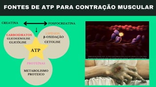 PRODUÇÃO DE ATP PARA CONTRAÇÃO MUSCULAR
 