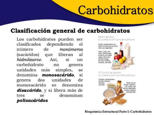 Bioquímica estructural parte i carbohidratos