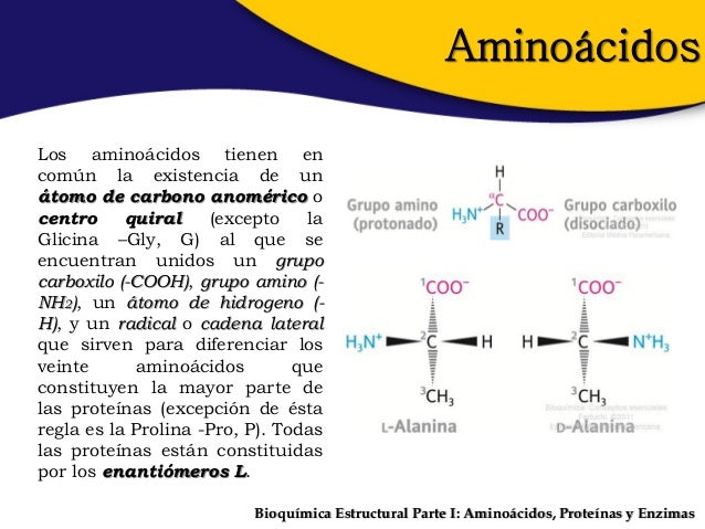 dieta 14 dias cambio metabolismo secretos
