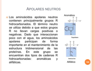 APOLARES NEUTROS
 Los aminoácidos apolares neutros
contienen principalmente grupos R
hidrocarbonados. El término neutro
se utiliza debido a que estos grupos
R no llevan cargas positivas o
negativas. Dado que interaccionan
poco con el agua, los aminoácidos
apolares participan de forma
importante en el mantenimiento de la
estructura tridimensional de las
proteínas. En este grupo se
encuentran dos tipos de cadenas R
hidrocarbonadas: aromáticas y
alifáticas. 100
Aromático
Alifático
 