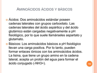 AMINOÁCIDOS ÁCIDOS Y BÁSICOS
 Ácidos: Dos aminoácidos estándar poseen
cadenas laterales con grupos carboxilato. Las
cadenas laterales del ácido aspártico y del ácido
glutámico están cargadas negativamente a pH
fisiológico, por lo que suele llamárseles aspartato y
glutamato.
 Básicos: Los aminoácidos básicos a pH fisiológico
llevan una carga positiva. Por lo tanto, pueden
formar enlaces iónicos con los aminoácidos ácidos.
La lisina, que tiene un grupo amino en la cadena
lateral, acepta un protón del agua para formar el
ácido conjugado (-NH3+). 102
 