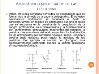 AMINOÁCIDOS MODIFICADOS DE LAS
PROTEÍNAS
 Varias proteínas contienen derivados de aminoácidos que se
forman tras la síntesis de la cadena polipeptídica. Entre estos
aminoácidos modificados se encuentra el ácido y-
carboxiglutámico, un residuo de aminoácido que une el calcio
que se encuentra en la proteína de la coagulación de la
sangre, protrombina. La 4-hidroxiprolina y la 5-hidroxiprolina
son componentes estructurales importantes del colágeno la
proteína más abundante del tejido conjuntivo. La fosforilación
de los aminoácidos que contienen hidroxilo, serina, treonina y
tirosina suele utilizarse para regular la actividad de las
proteínas. Por ejemplo, la síntesis del glucógeno está
significativamente restringida cuando la enzima glucógeno
sintasa está fosforilada.
105
 