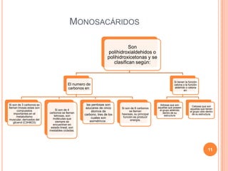 MONOSACÁRIDOS
Son
polihidroxialdehidos o
polihidroxicetonas y se
clasifican según:
El numero de
carbonos en:
Si son de 3 carbonos se
llaman triosas estas son
compuestos
importantes en el
metabolismo
muscular, derivados del
glicerol (C3H8O3)
Si son de 4
carbonos se llaman
tetrosas, son
moléculas que
siempre se
encuentran en
estado lineal, son
inestables cicladas.
las pentosas son
azucares de cinco
átomos de
carbono, tres de los
cuales son
asimétricos .
Si son de 6 carbonos
se llaman
hexosas, su principal
función es producir
energía.
Si tienen la función
cetona o la función
aldehído o cetona
en:
Aldosas que son
aquellas que poseen
el grupo aldehído
dentro de su
estructura
Cetosas que son
aquellas que tienen
el grupo ceto dentro
de su estructura.
11
 