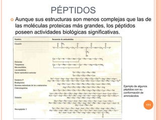 PÉPTIDOS
 Aunque sus estructuras son menos complejas que las de
las moléculas proteicas más grandes, los péptidos
poseen actividades biológicas significativas.
111
Ejemplo de algunos
péptidos con su
conformación de
aminoácidos
 