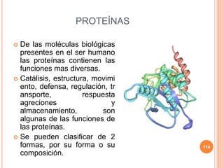 PROTEÍNAS
 De las moléculas biológicas
presentes en el ser humano
las proteínas contienen las
funciones mas diversas.
 Catálisis, estructura, movimi
ento, defensa, regulación, tr
ansporte, respuesta
agreciones y
almacenamiento, son
algunas de las funciones de
las proteínas.
 Se pueden clasificar de 2
formas, por su forma o su
composición.
114
 