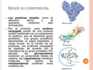 SEGÚN SU COMPOSICIÓN
 Las proteínas simples, como la
albúmina sérica y la
queratina, contienen sólo
aminoácidos.
 Por el contrario, cada proteína
conjugada consta de una proteína
simple combinada con un componente
no proteico, que se denomina grupo
prostético. Los grupos prostéticos
desempeñan un papel importante, a
veces crucial, en la función de las
proteínas. Las proteínas conjugadas
se clasifican de acuerdo con la
naturaleza de su grupo prostético. Por
ejemplo, las glucoproteínas
contienen un componente hidrato de
carbono, las Lipoproteínas contienen
moléculas de lípidos, las
metaloproteínas contienen iones
metálicos etc.
116
Albumina sérica
Glucoproteína
Metaloproteína
 